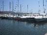 Floating money in Bandol harbour (101k)